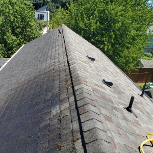 Photo of Gunky Gutters Be Gone