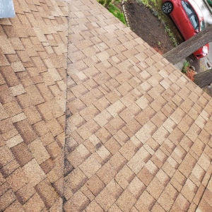 Photo of Gunky Gutters Be Gone