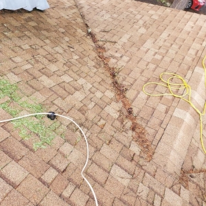 Photo of Gunky Gutters Be Gone