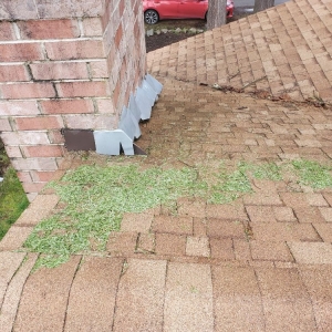 Photo of Gunky Gutters Be Gone