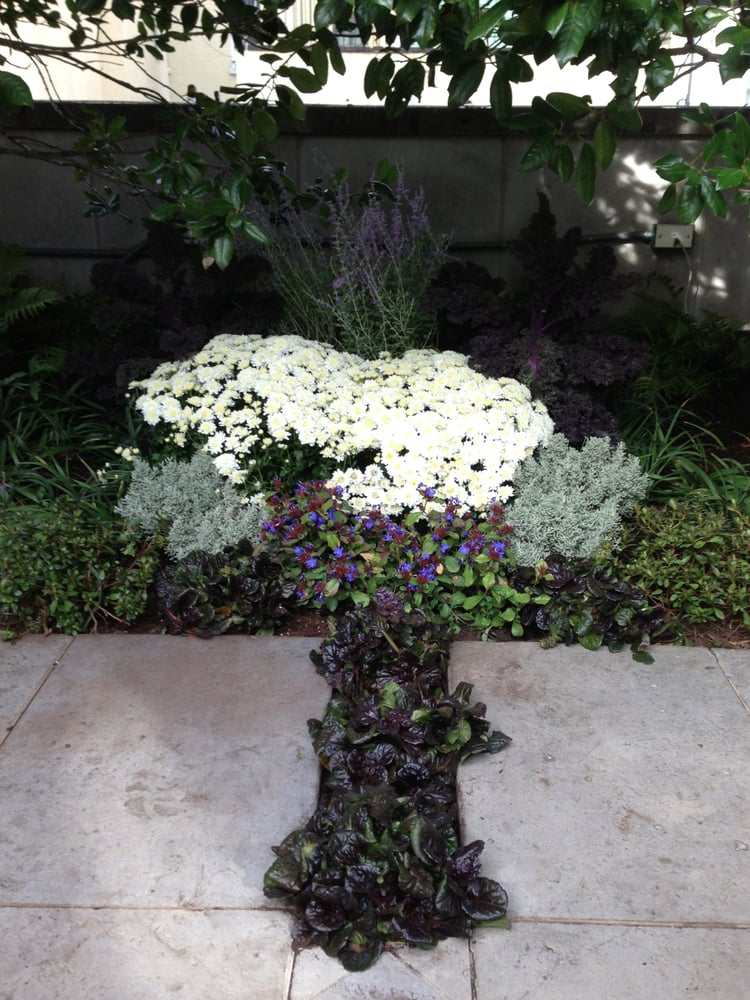 Photo of Susan Pollock Designs