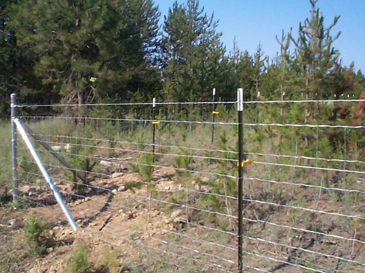Photo of Patterson & Sons Fence
