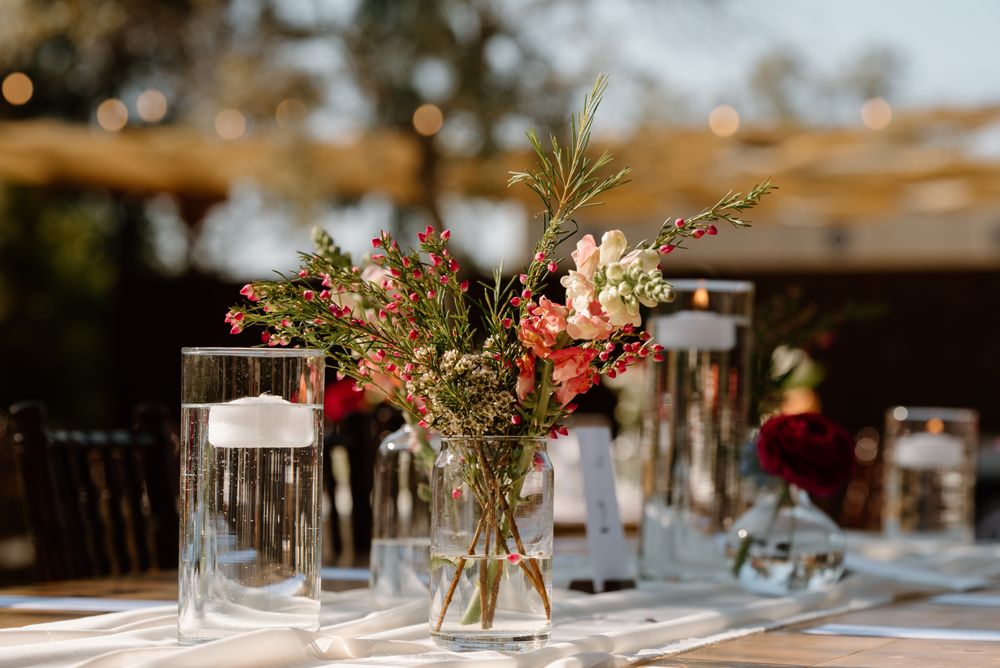 Photo of Singler Photography