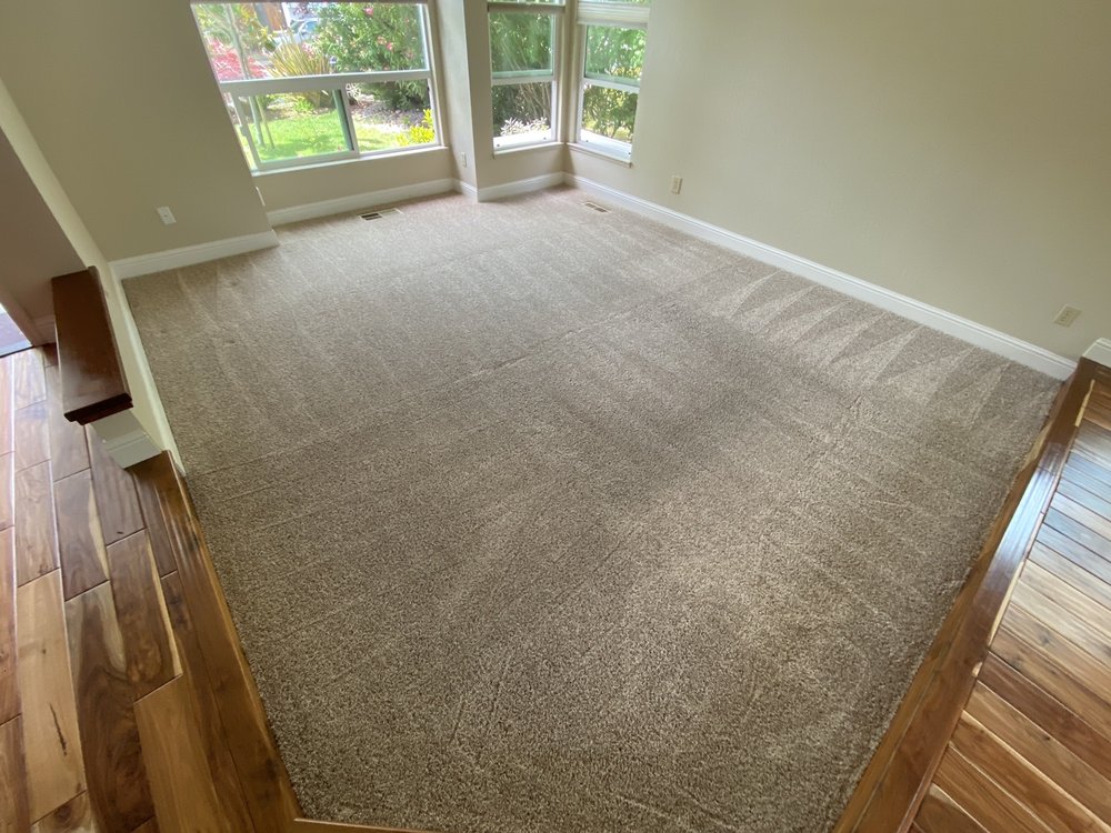 Photo of Carpet Master