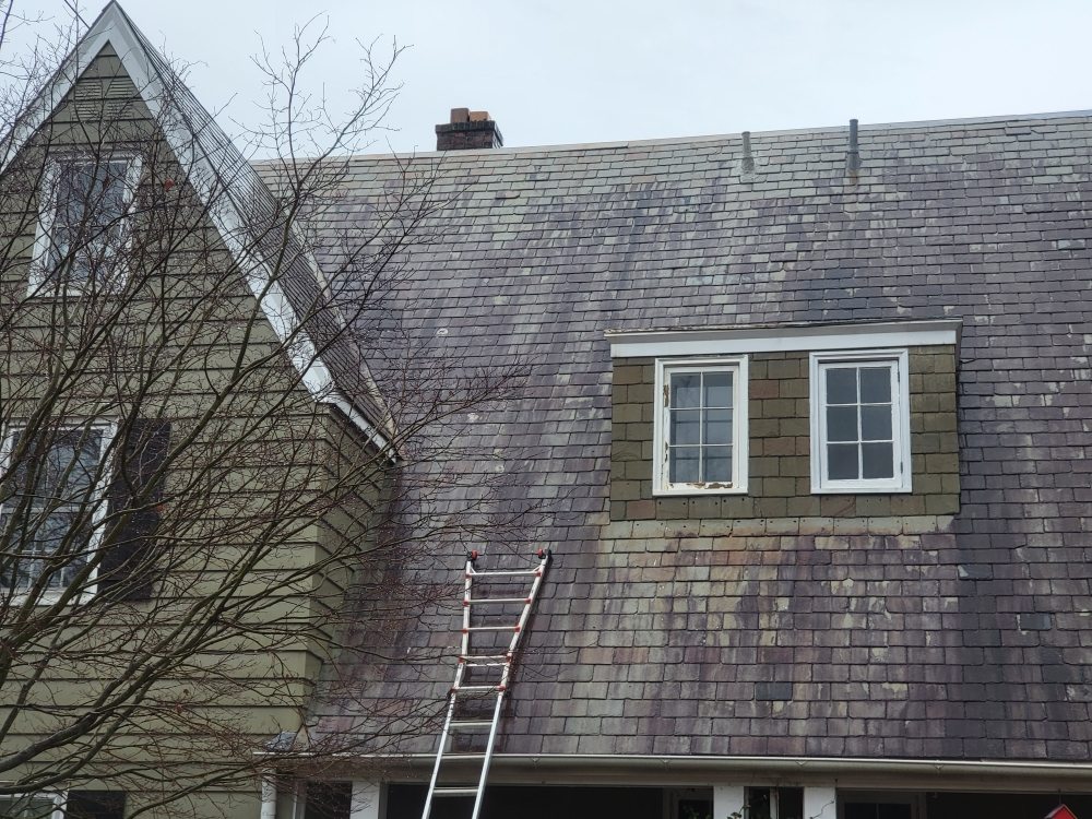 Photo of Panoramic View Window Cleaning and Roof Washing