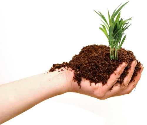 Photo of Green Solutions Landscaping