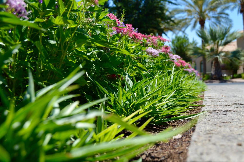 Photo of Green Solutions Landscaping