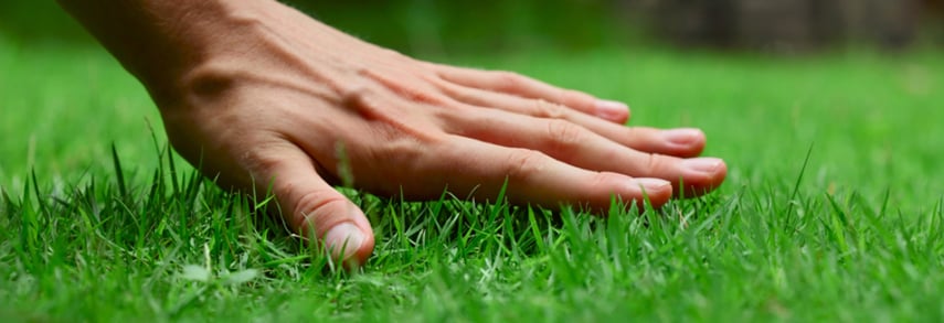 Photo of Green Solutions Landscaping