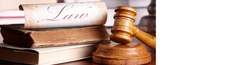 Photo of LeeAnn N. Barnes, Attorney at Law