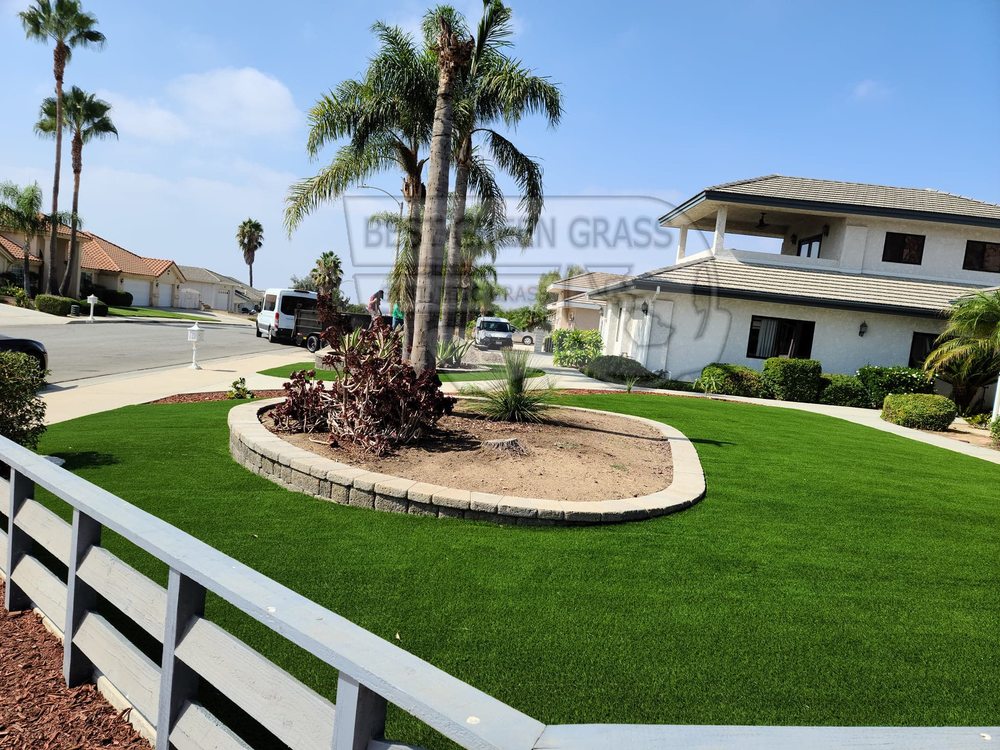 Photo of Best Green Grass