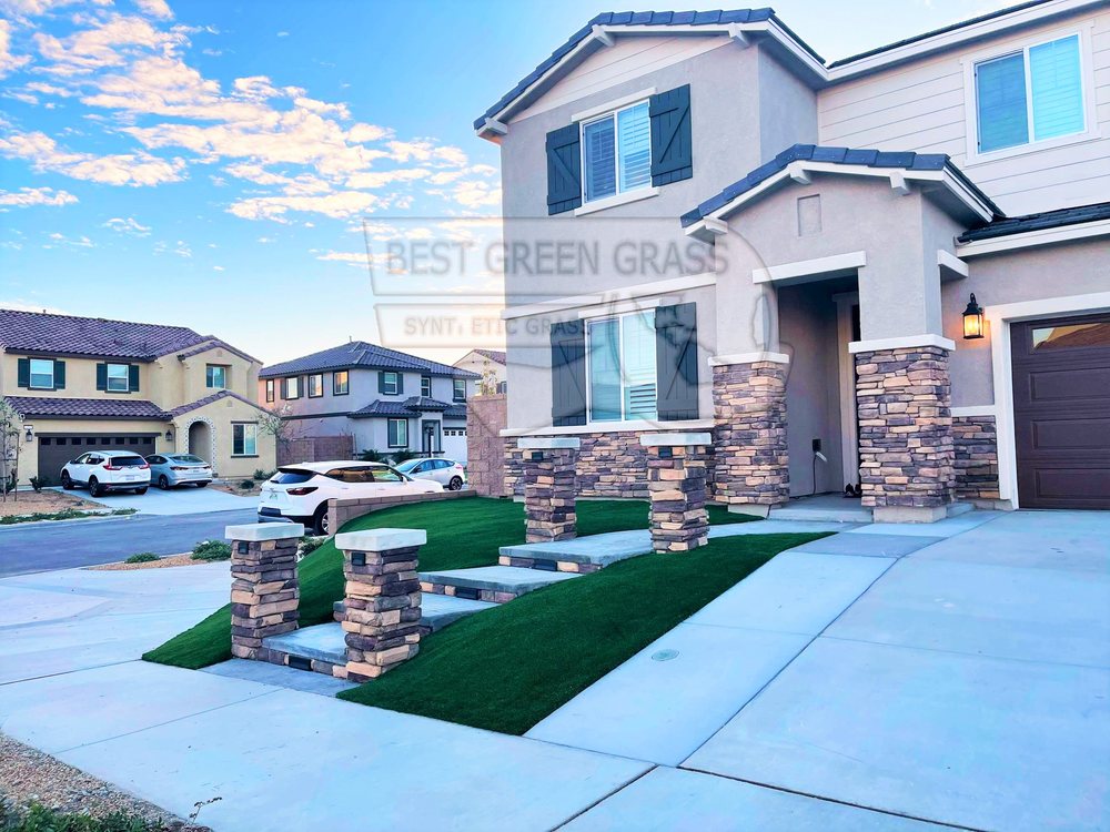 Photo of Best Green Grass