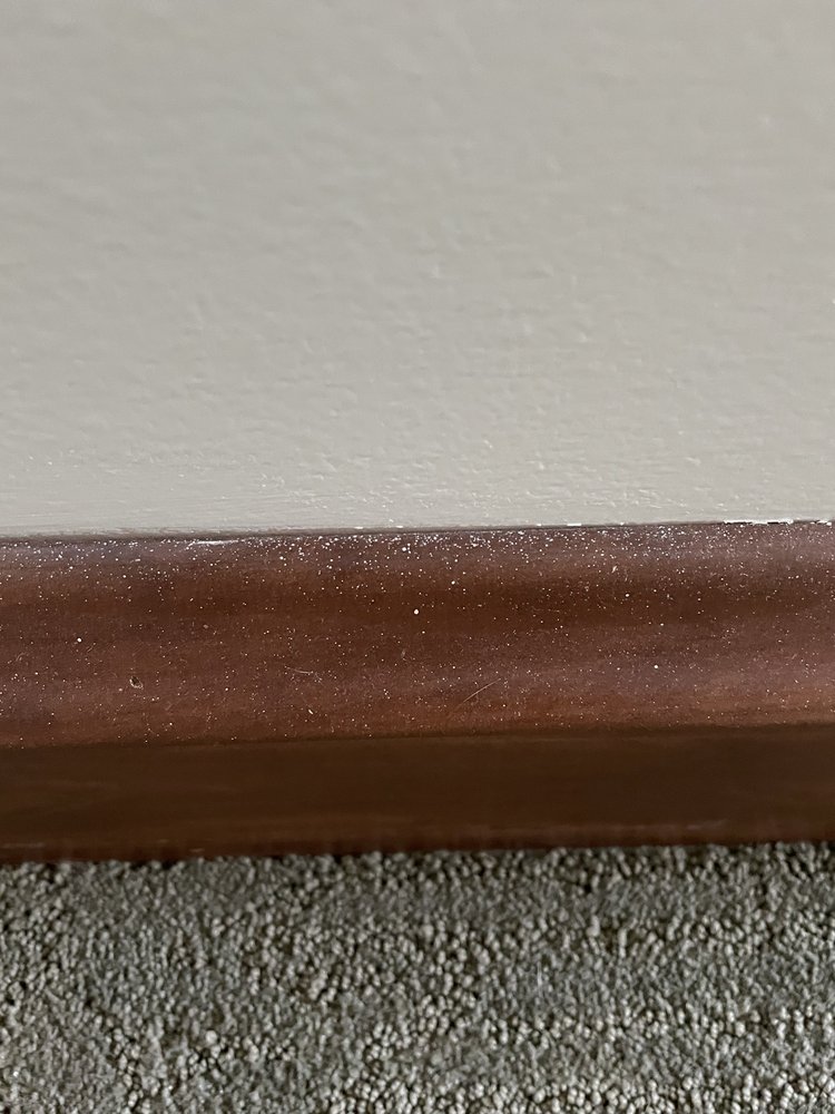 Photo of Macorp Premier Painting and Finishing