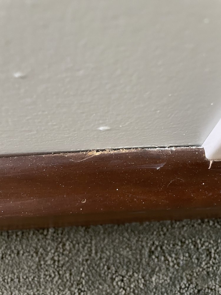 Photo of Macorp Premier Painting and Finishing