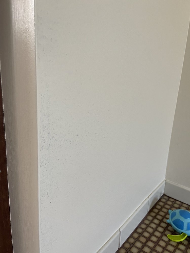 Photo of Macorp Premier Painting and Finishing