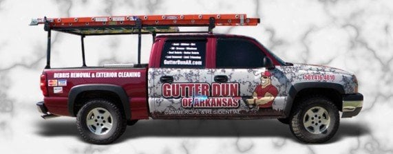 Photo of Gutter Dun of Arkansas