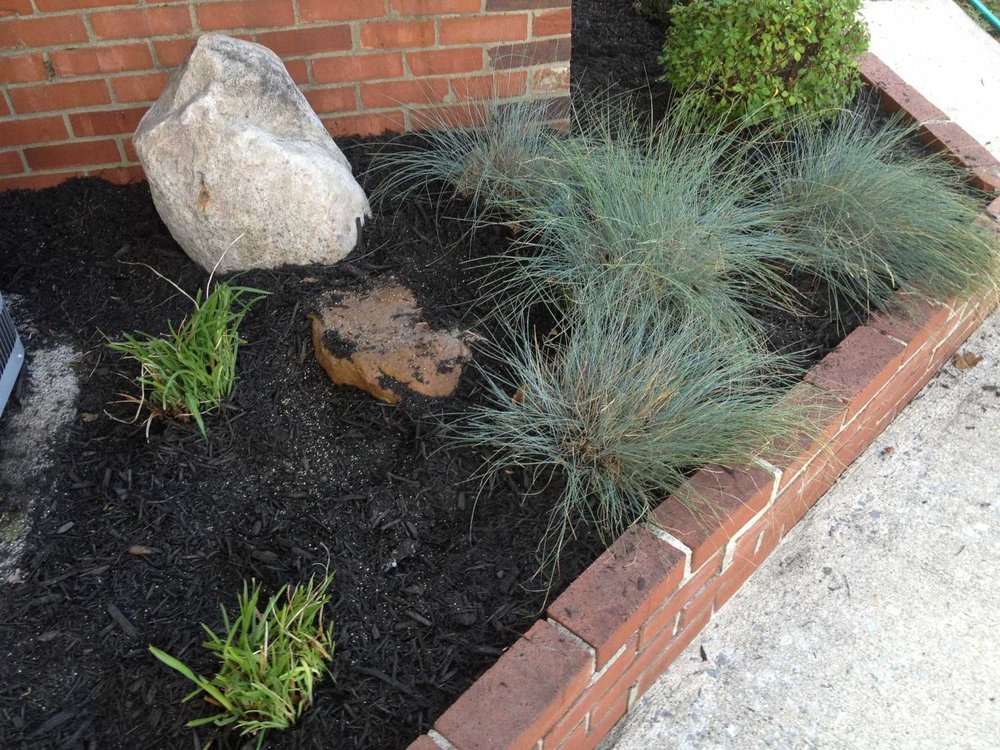 Photo of Evergreen Land Solutions