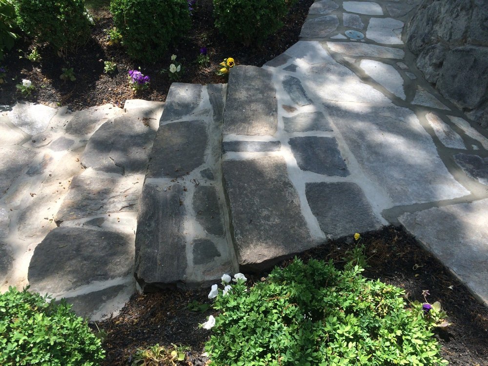 Photo of Evergreen Land Solutions