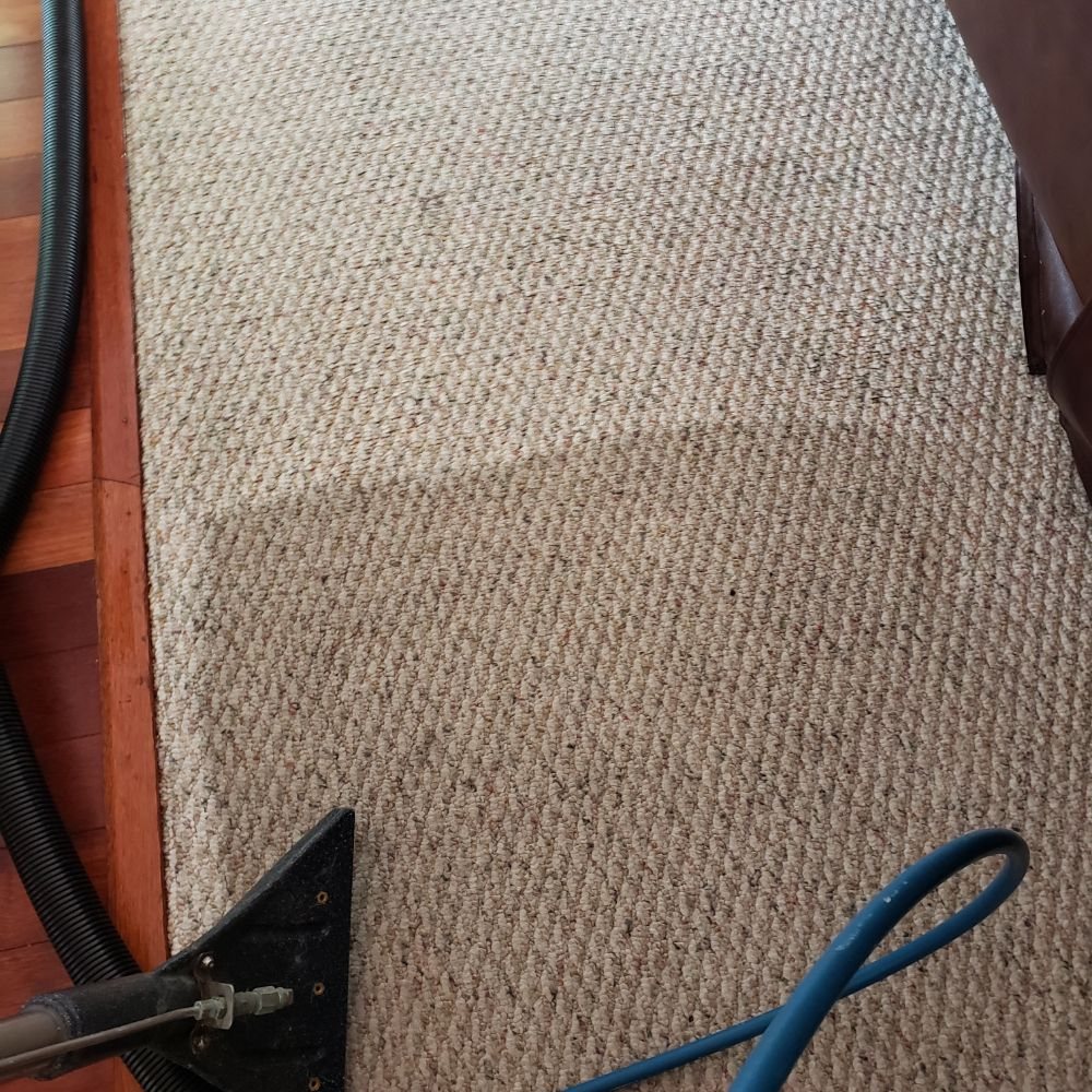 Photo of Kassel Cleaning