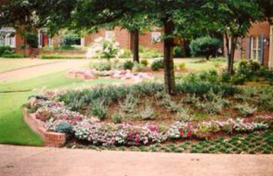Photo of Dorriety Landscape