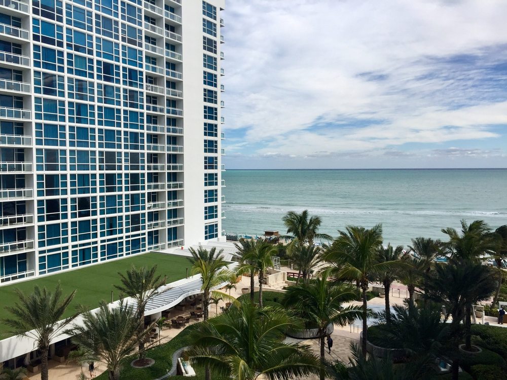 Photo of Best Miami Turf