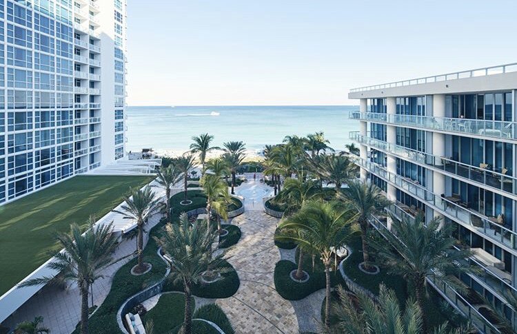 Photo of Best Miami Turf