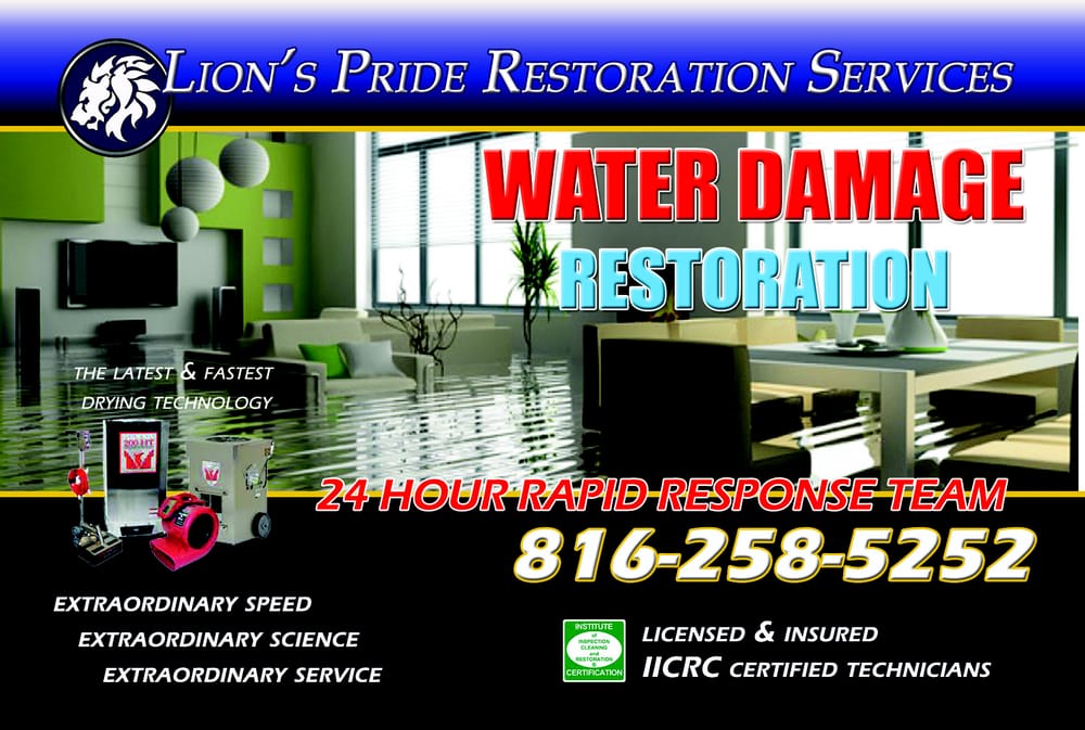 Photo of Lion's Pride Carpet Care & Restoration