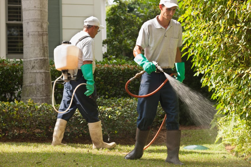 Photo of Family Pest Control