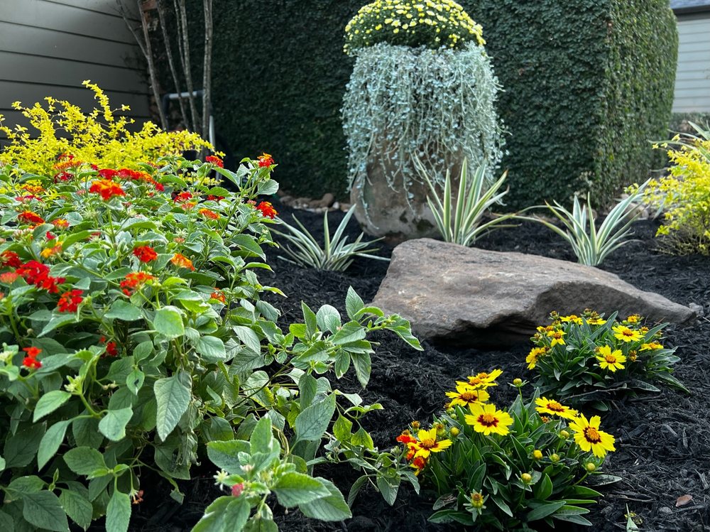 Photo of Purposed Landscaping