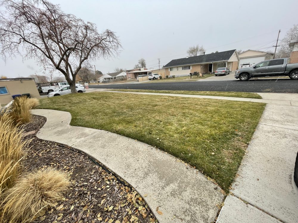 Photo of Above All Landscaping