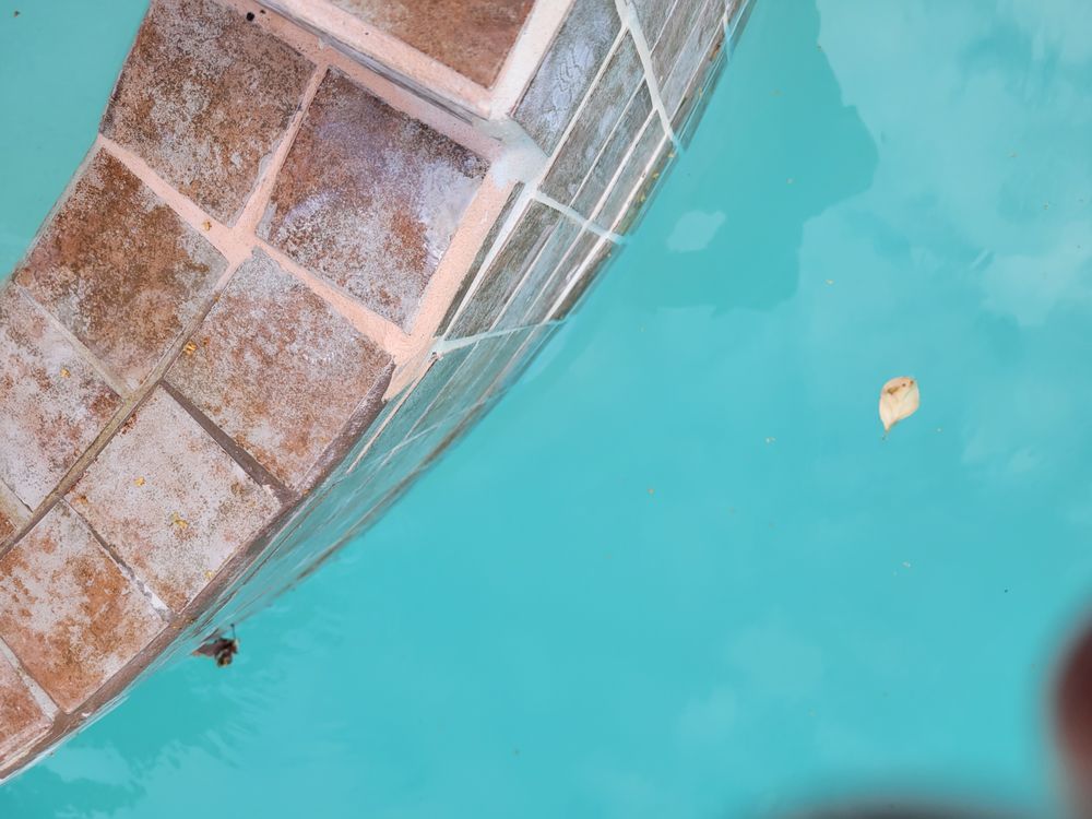 Photo of Scuba Pool Repair