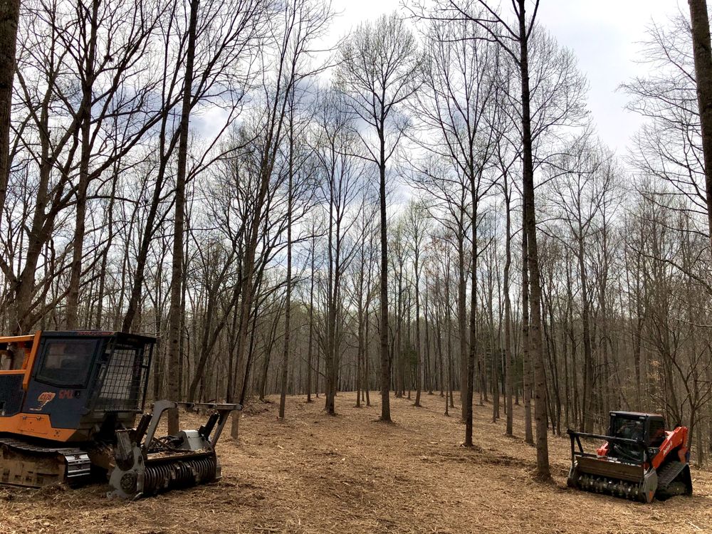 Photo of American Excavation & Land Clearing