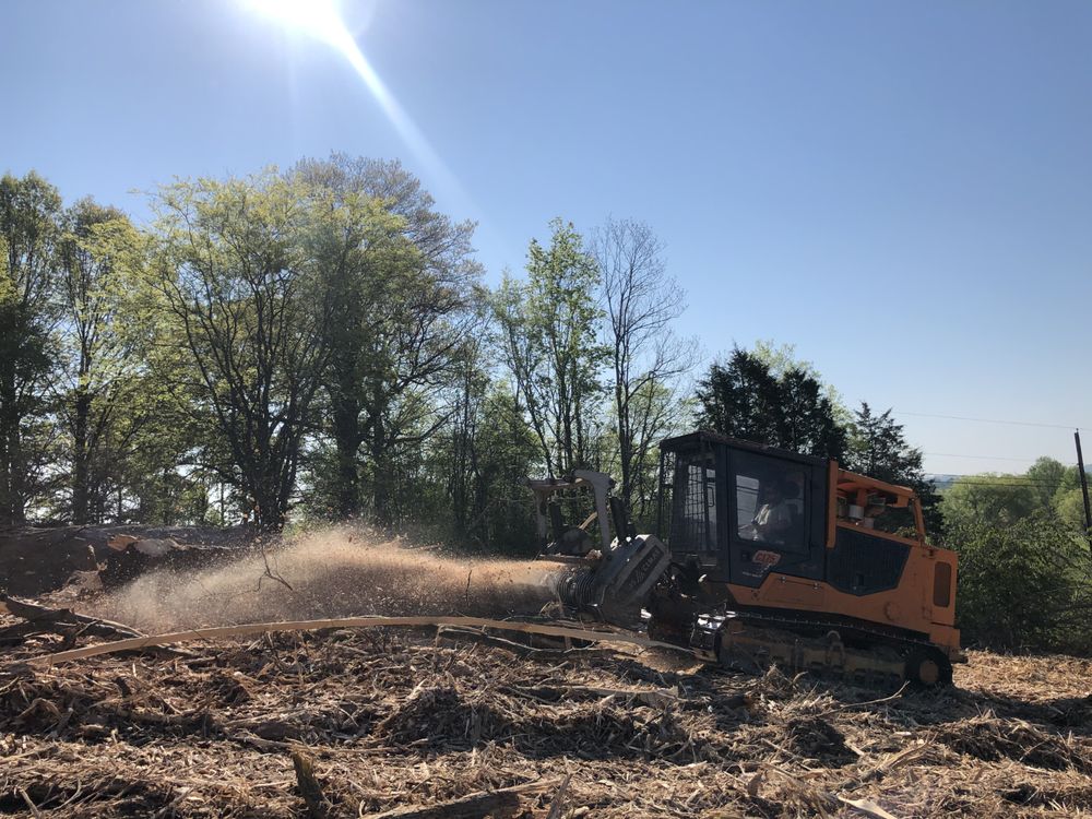 Photo of American Excavation & Land Clearing