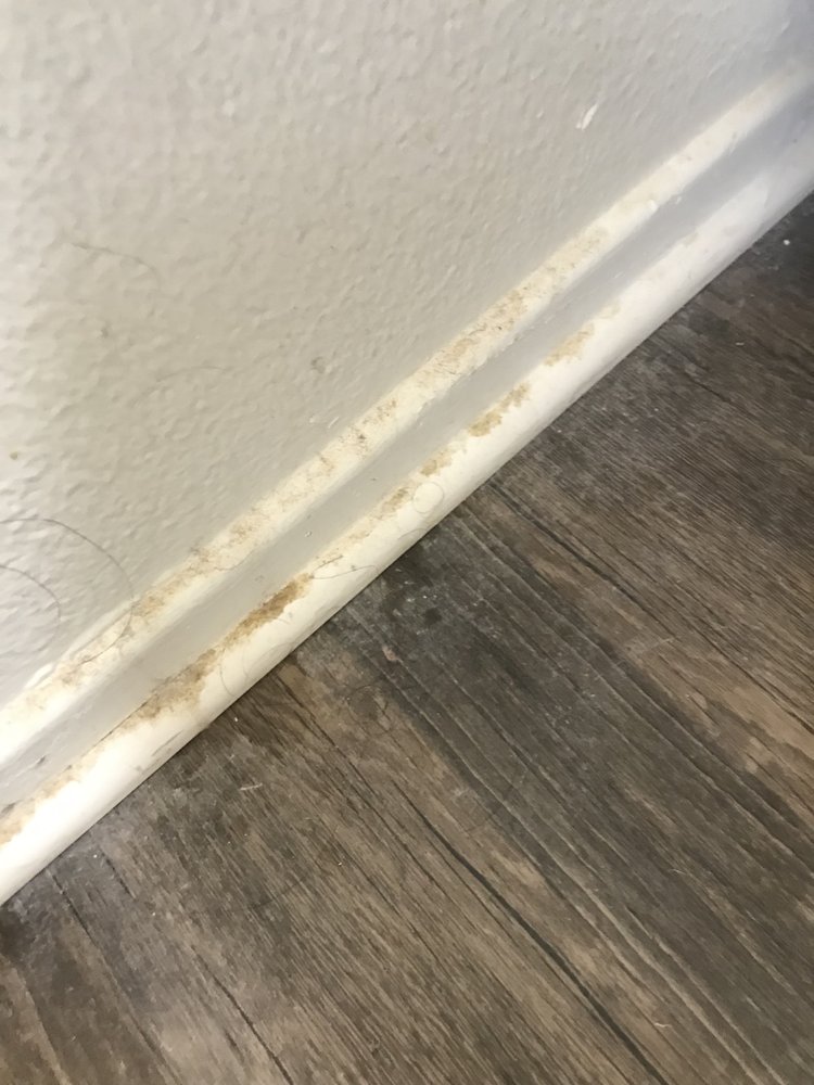 Photo of Perfect Cleanliness