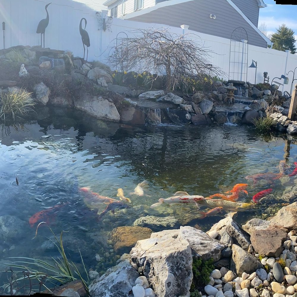 Photo of Paradise Ponds by Ed Dedicke