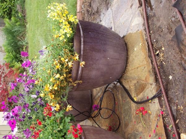 Photo of Olympus Irrigation
