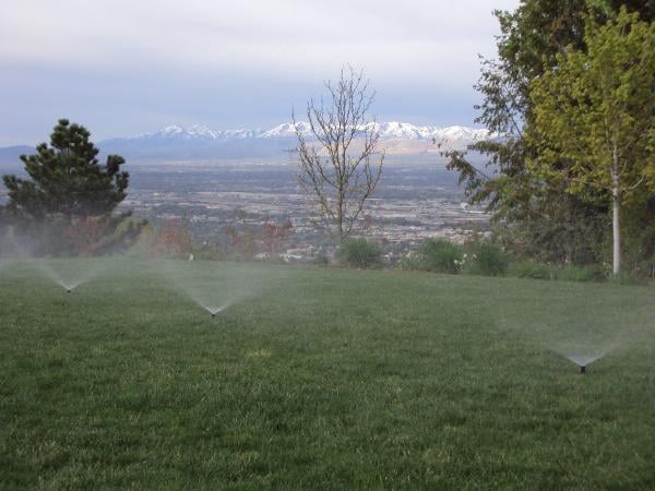 Photo of Olympus Irrigation