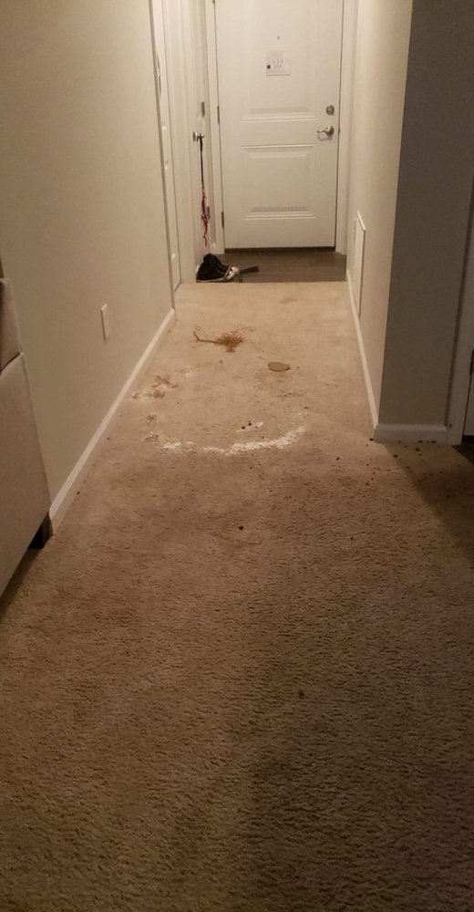 Photo of Columbus Care Floor Restorations