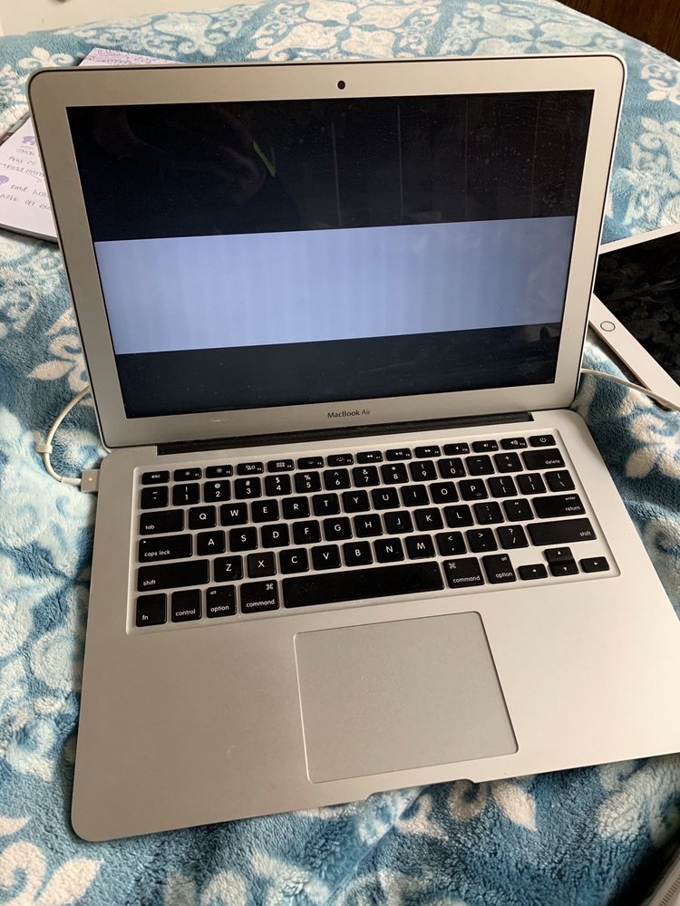 Photo of The Computer Guy
