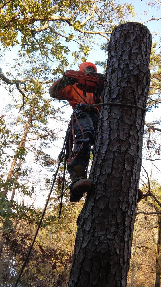 Photo of Cornerstone Tree Service