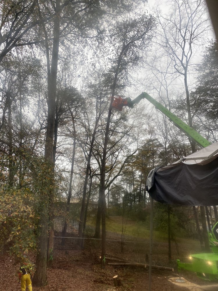 Photo of Cornerstone Tree Service