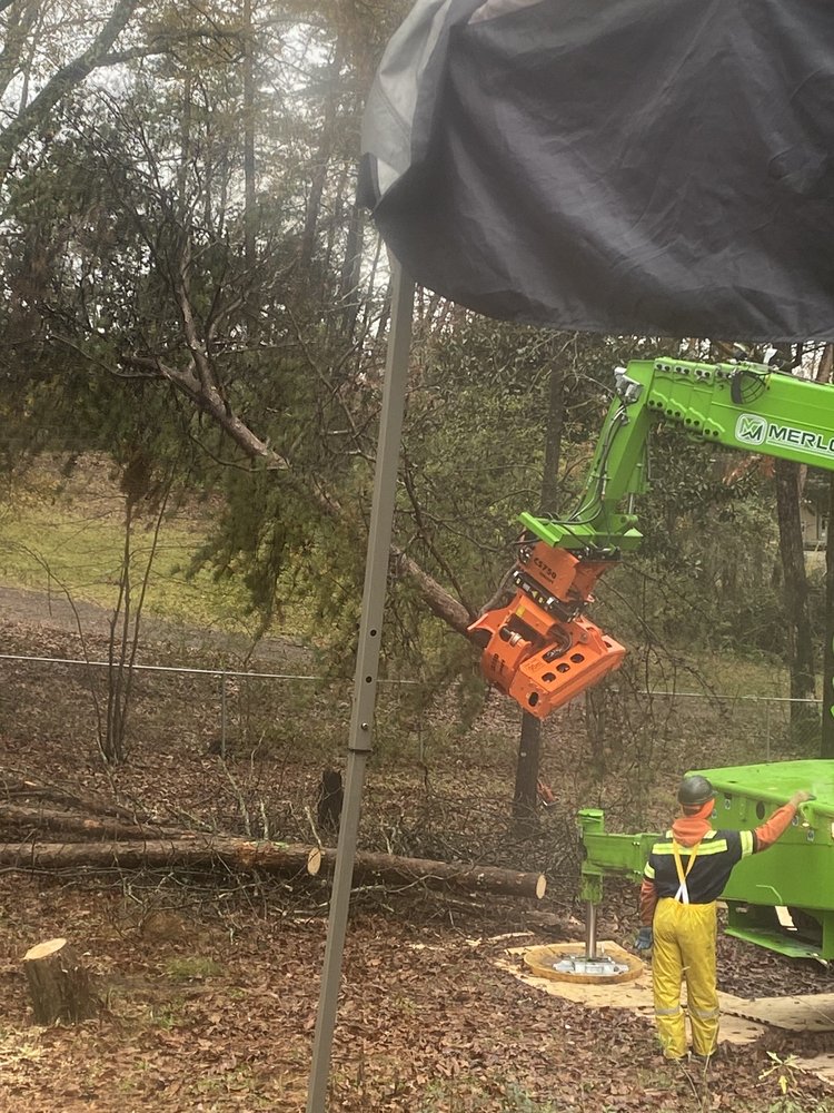 Photo of Cornerstone Tree Service