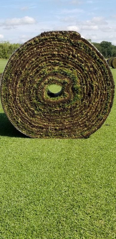 Photo of Jirik Sod Farms