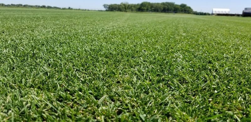 Photo of Jirik Sod Farms