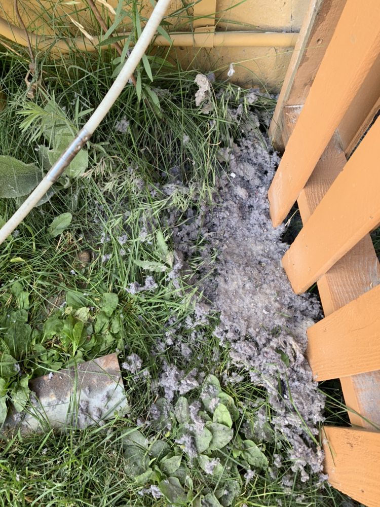 Photo of The Home Air Duct Cleaning