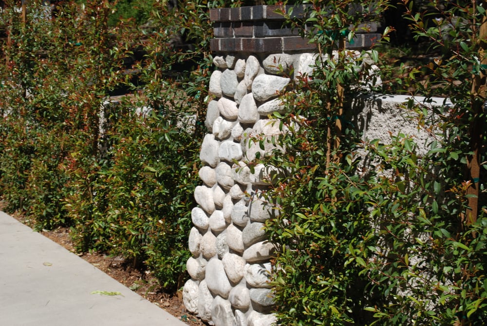 Photo of Tierra Verde Landscape & Masonry