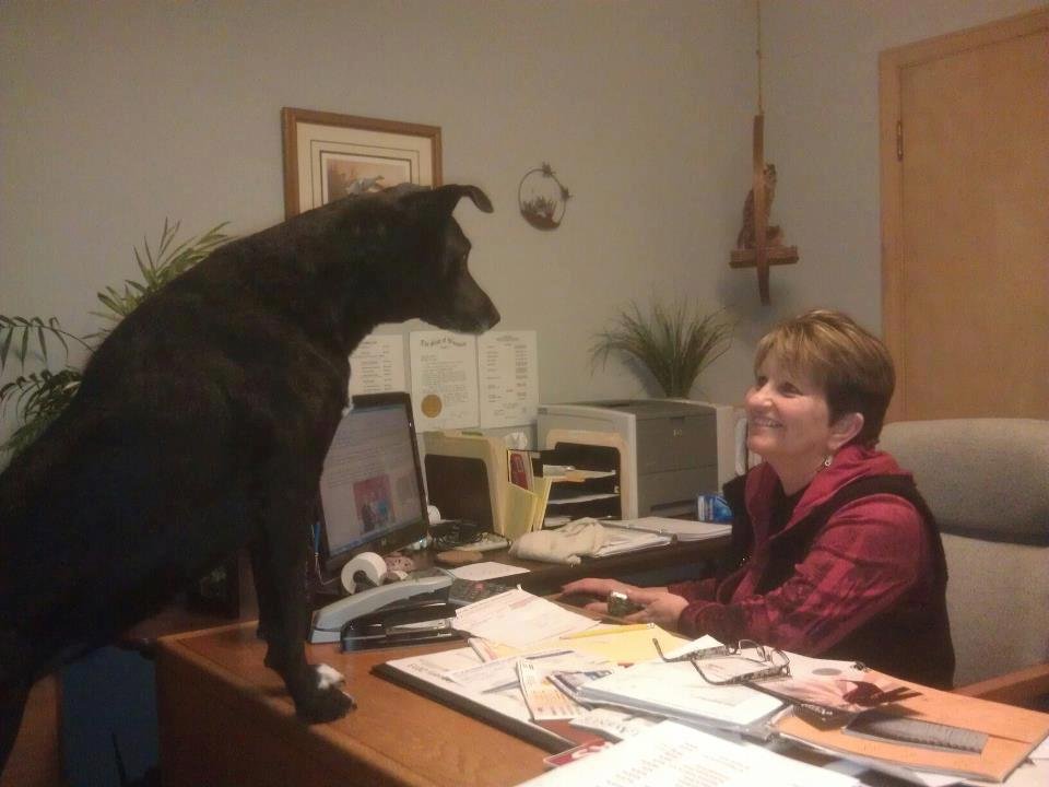 Photo of Liz Gaengel Tax Services
