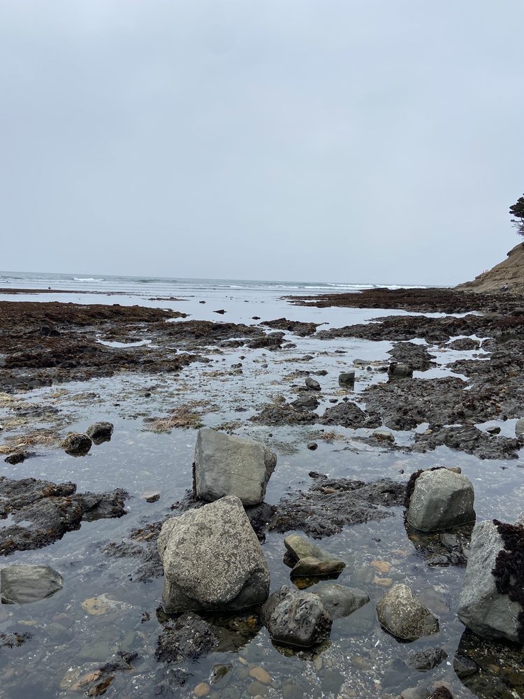 Photo of Seal Cove Inn