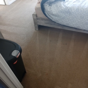 Photo of Midwest Dry Carpet Cleaning