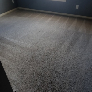 Photo of Midwest Dry Carpet Cleaning