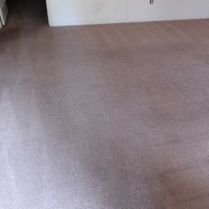 Photo of Midwest Dry Carpet Cleaning